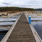 Mondalva Feriegård Sao Pedro de Alva